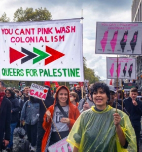 Inclusion and Disorder: Unlearned Lessons from Palestinian Protests